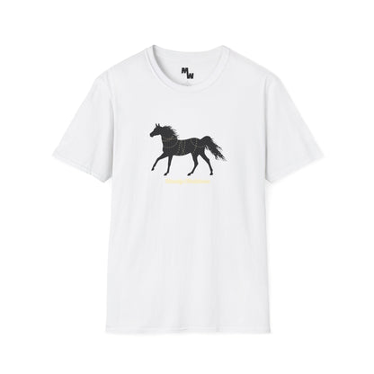 Christmas lights Unisex Softstyle T-Shirt